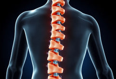 Ontdek de stille kracht van spondylose: wat het is en hoe je ermee omgaat