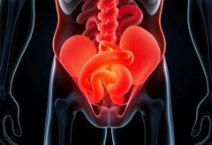 Wat je rug echt belast: de verborgen oorzaken van een hernia ontdekt