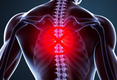 Ontdek de kracht van oefeningen voor een betere houding