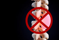 Ontdek de verborgen kracht van de disque intervertébral: je natuurlijke schokdemper