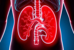 Ontdek de verborgen oorzaken van lage rug- en buikpijn